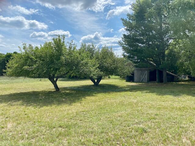9837 Homestead Road Benzonia, MI 49616 - Photo 32 of 33 IMG_6511