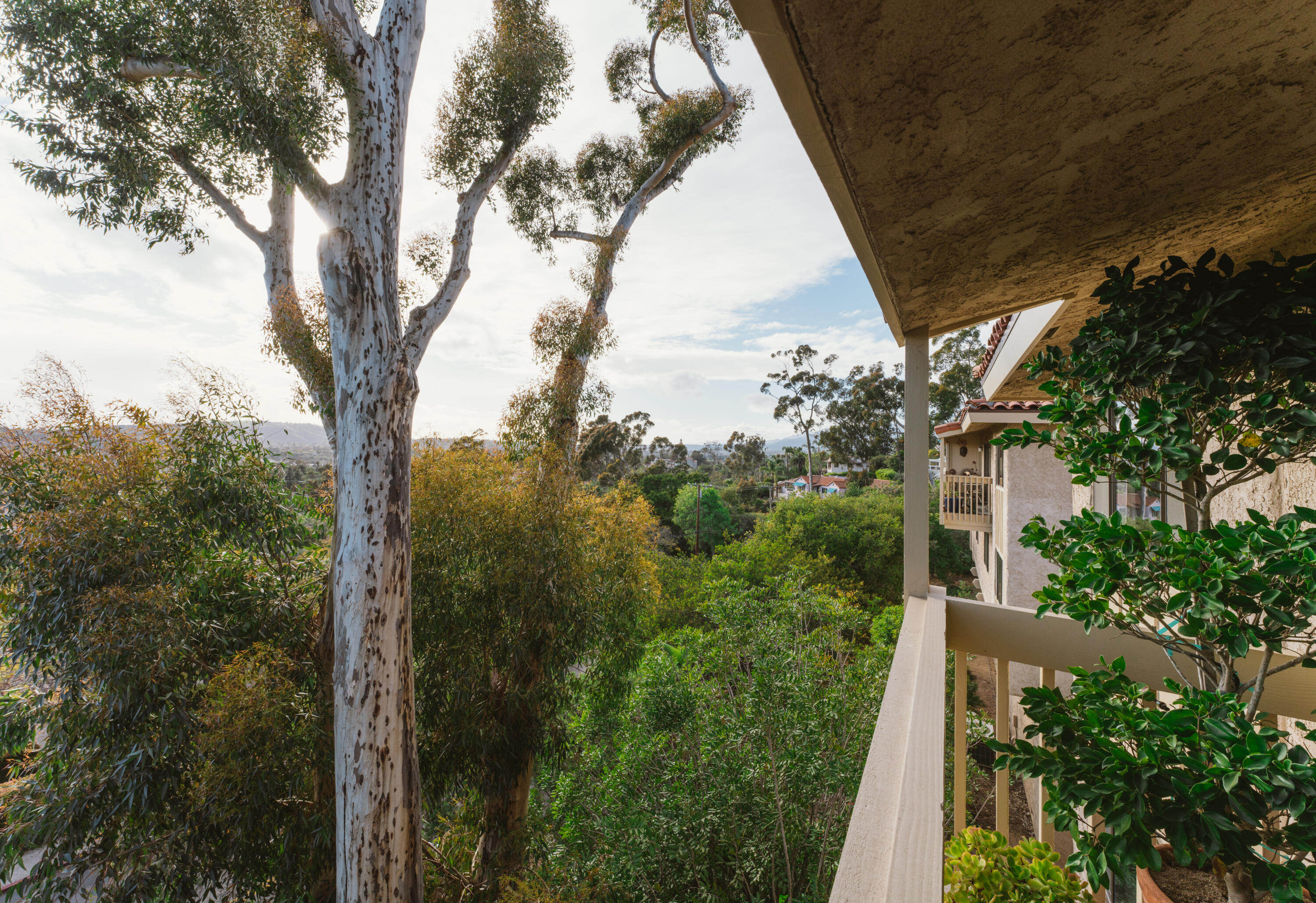 823 Via Granada Santa Barbara, CA 93103 - Photo 9 of 22 a view of a yard in front of house