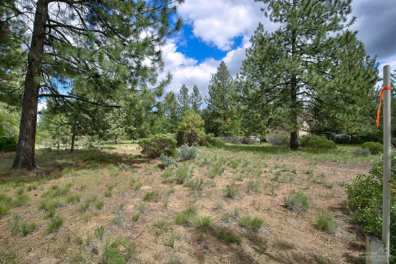 60130 East Ridgeview Drive Bend, OR 97702 - Photo 2 of 18 Additional Photo