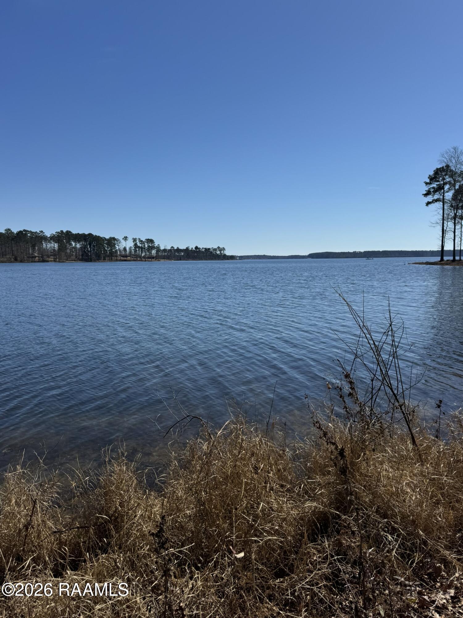 Lot 13 Ramsey Road Chatham, LA 71226 - Photo 1 of 5 Front of lot