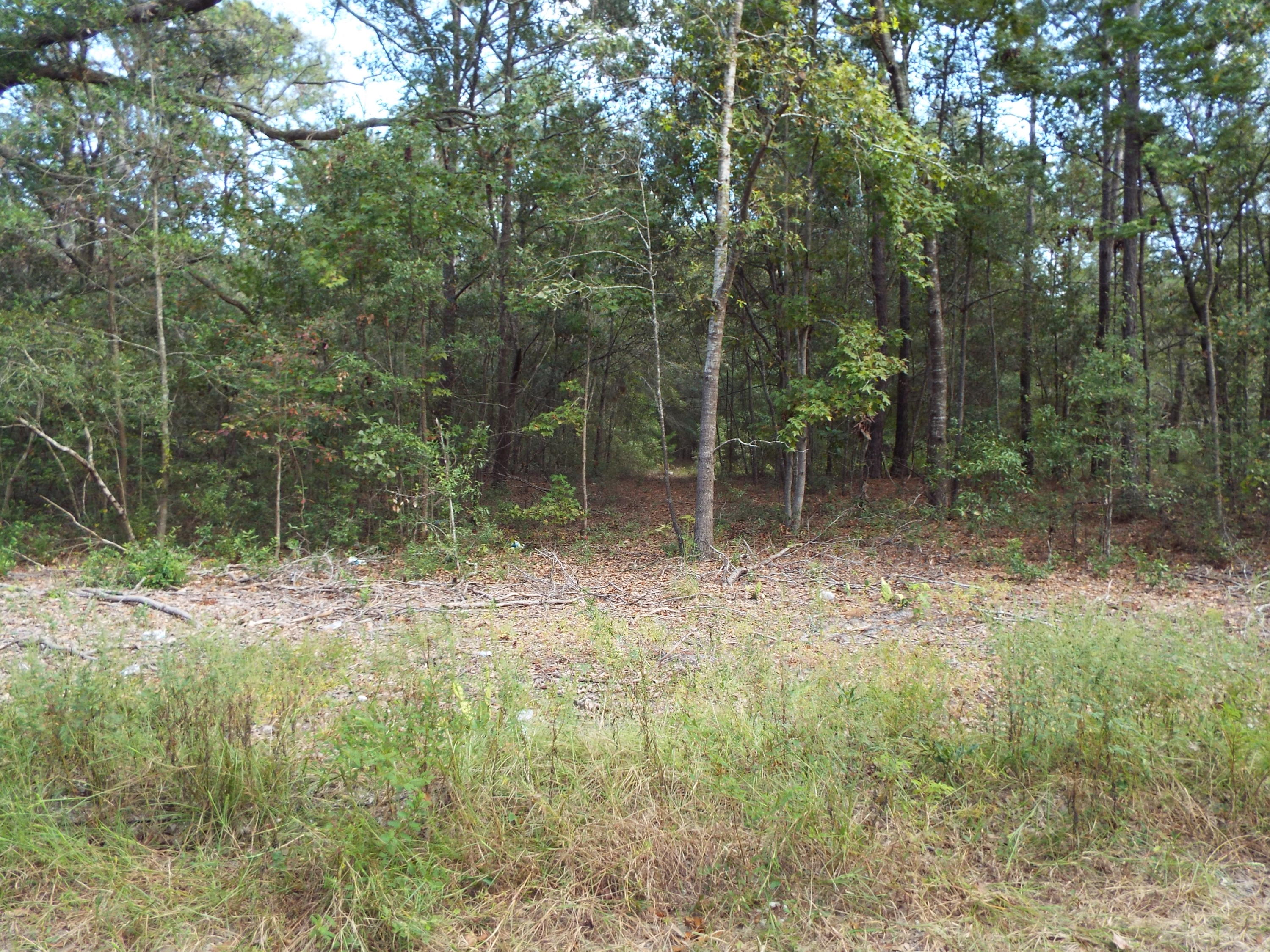 5728 Geathers Road Hollywood, SC 29449 - Photo 3 of 6 DSCF7899