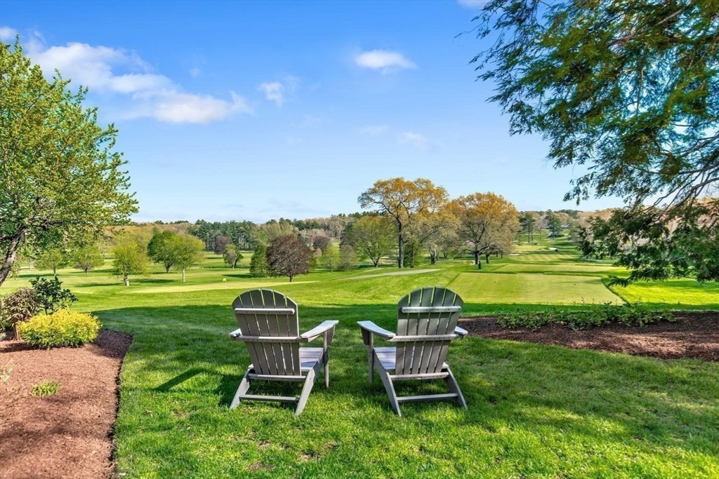 151 Oakland Street Wellesley, MA 02481 - Photo 31 of 42 a garden view with a sitting space