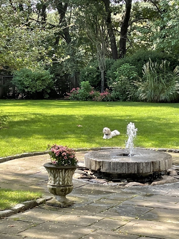 151 Oakland Street Wellesley, MA 02481 - Photo 36 of 42