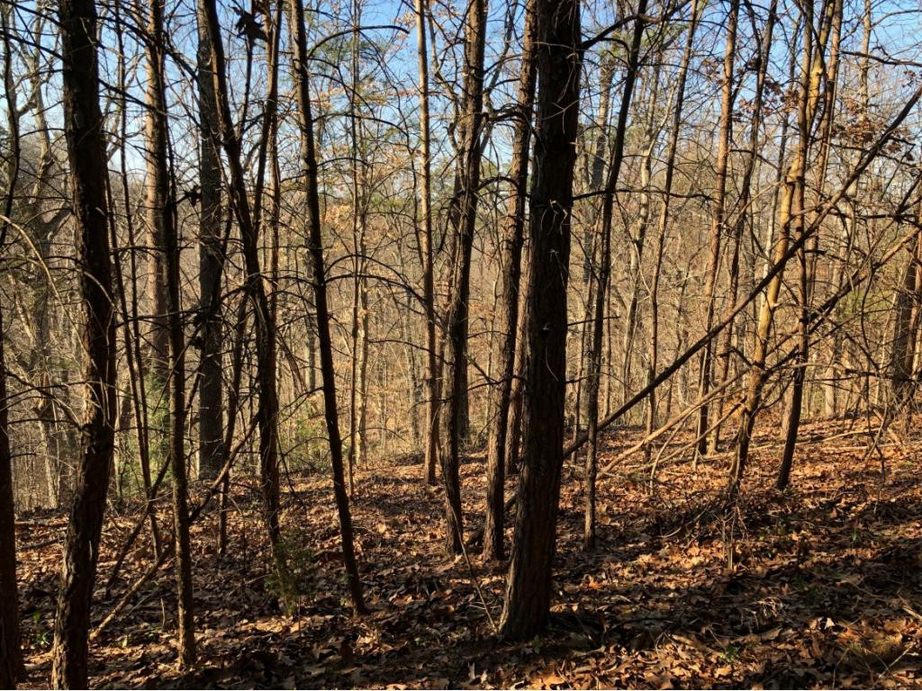 0 Overview Way, Unit 6 Newport, TN 37821 - Photo 8 of 11 Photo 8
