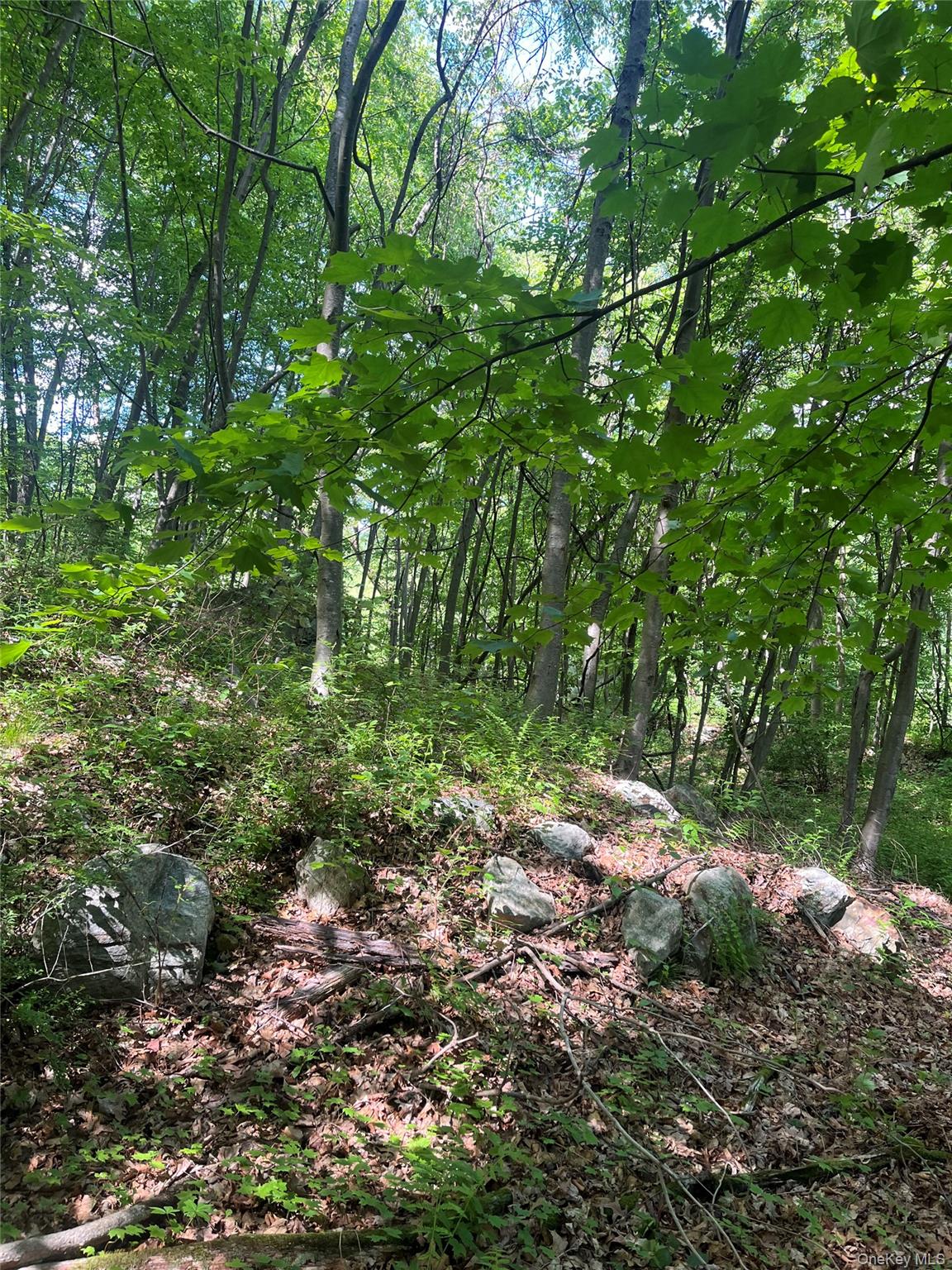 Old Church Road Putnam Valley, NY 10579 - Photo 12 of 26 a backyard of a house with lots of green space