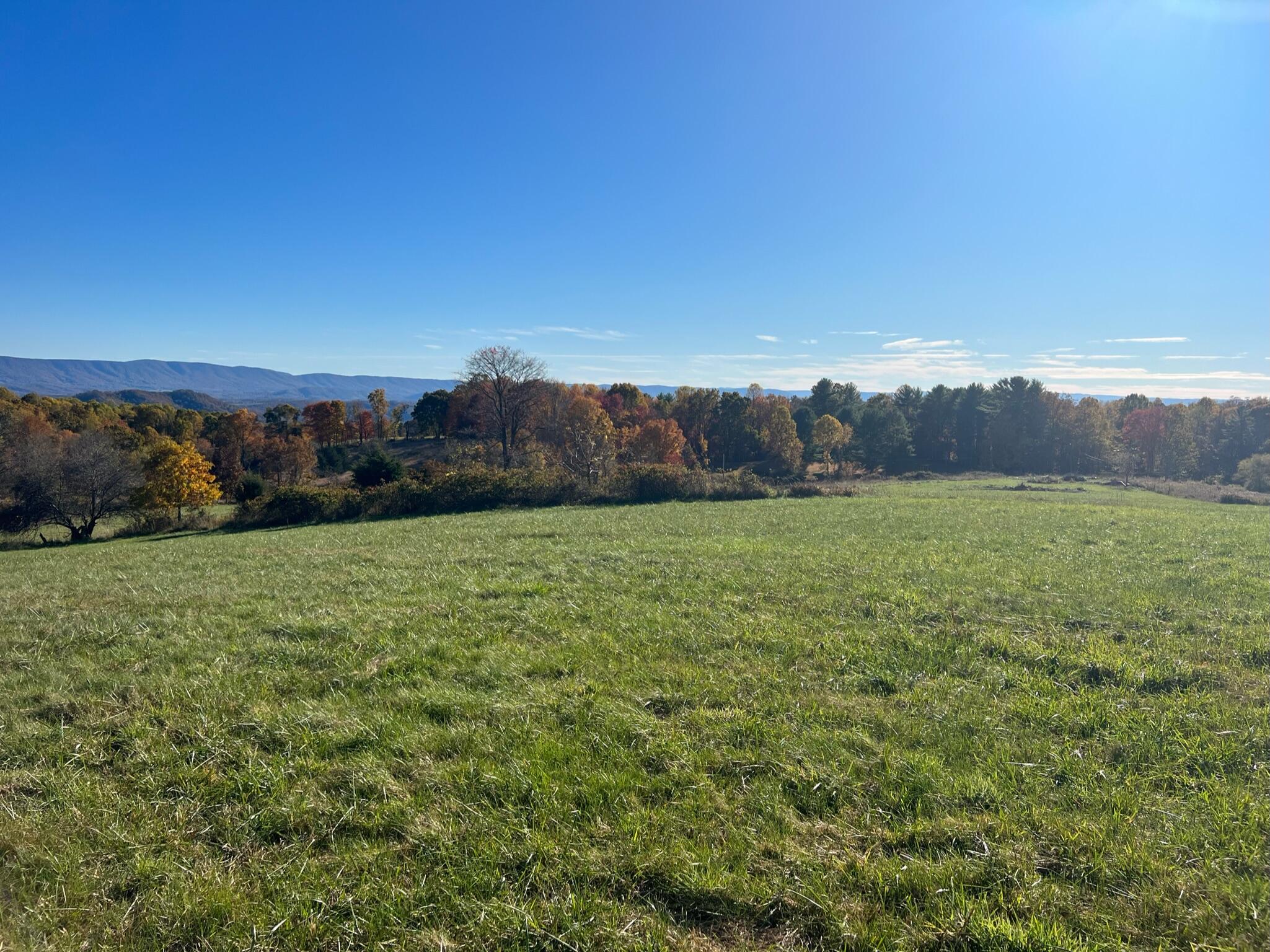 8822 Knobs Road Union, WV 24983 - Photo 23 of 33 Gallery Image 23