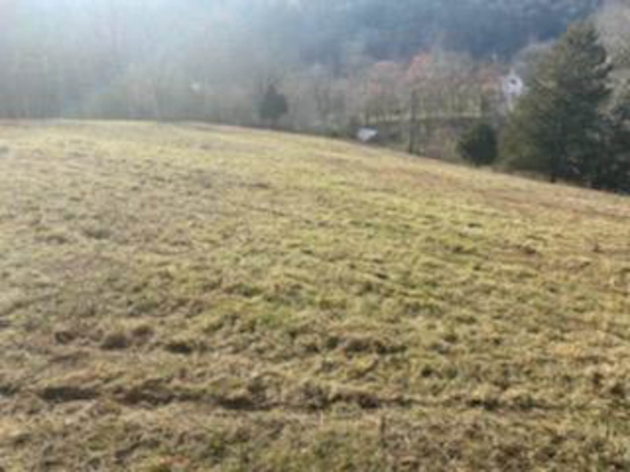 3722 Adamson Branch Road Liberty, TN 37095 - Photo 1 of 8 a view of empty room with wooden floor