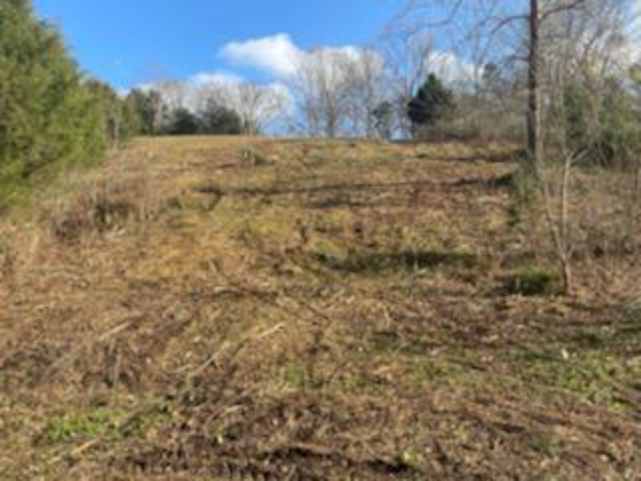 3722 Adamson Branch Road Liberty, TN 37095 - Photo 2 of 8
