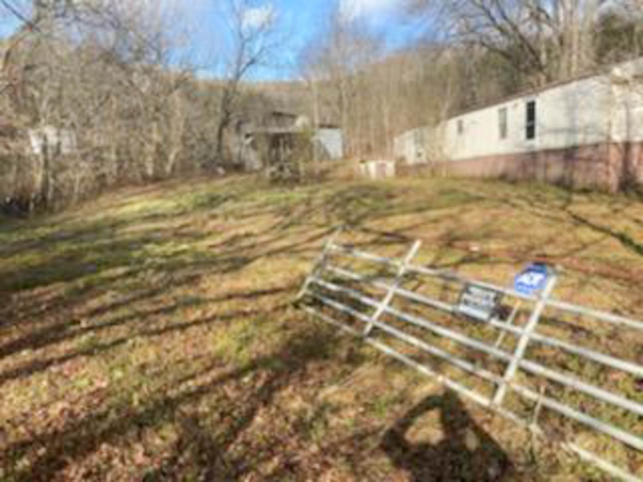 3722 Adamson Branch Road Liberty, TN 37095 - Photo 5 of 8 a view of yard with large trees