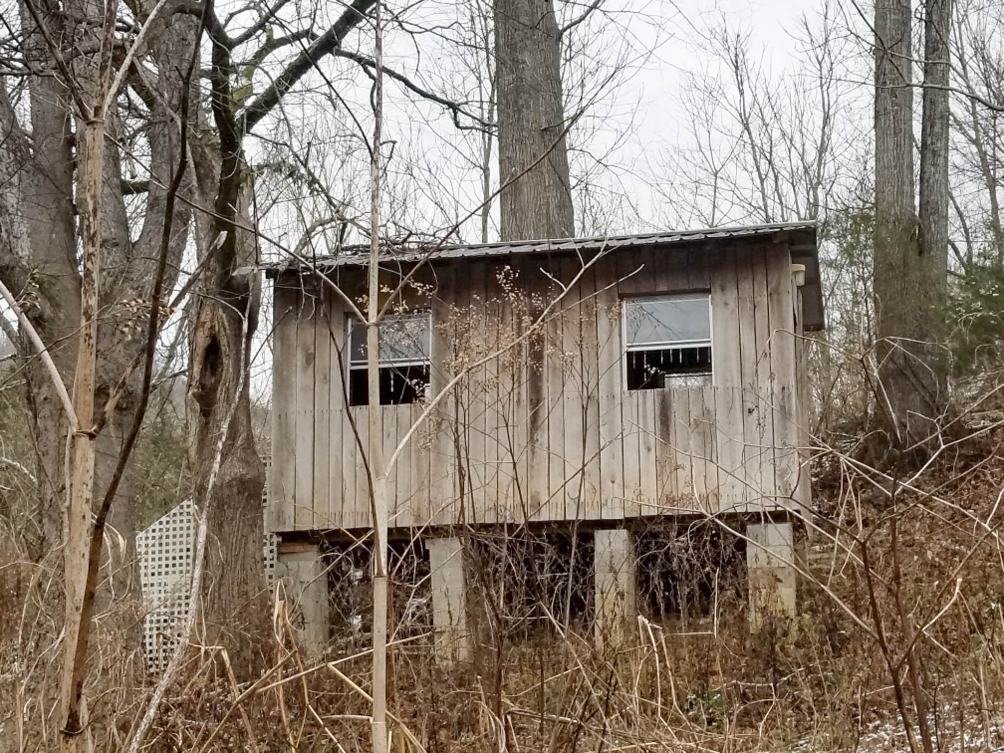 3722 Adamson Branch Road Liberty, TN 37095 - Photo 8 of 8 a side view of a house with a yard