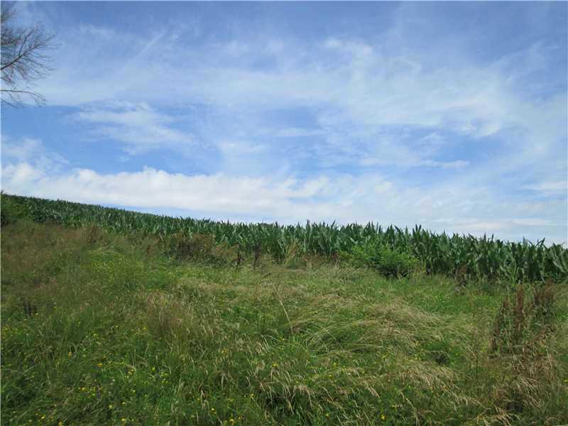 151 Rodgers Lane Butler, PA 16002 - Photo 14 of 24 Land.