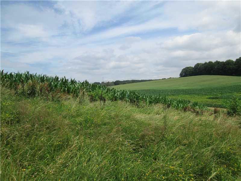 151 Rodgers Lane Butler, PA 16002 - Photo 15 of 24 Land.