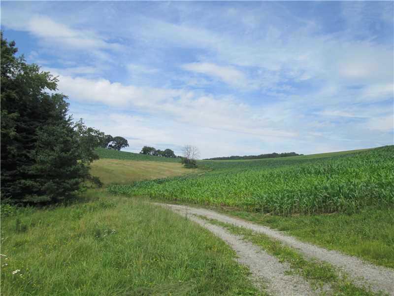 151 Rodgers Lane Butler, PA 16002 - Photo 18 of 24 Land.
