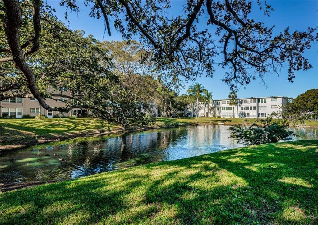 946 Virginia Street, Unit 104 Dunedin, FL 34698 - Photo 17 of 64 a view of lake with houses
