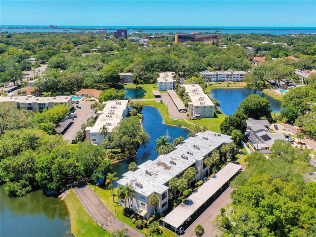 946 Virginia Street, Unit 104 Dunedin, FL 34698 - Photo 38 of 64