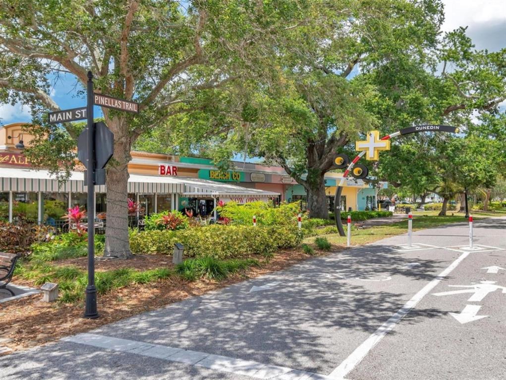 946 Virginia Street, Unit 104 Dunedin, FL 34698 - Photo 49 of 64 a view of a park with a plants and trees