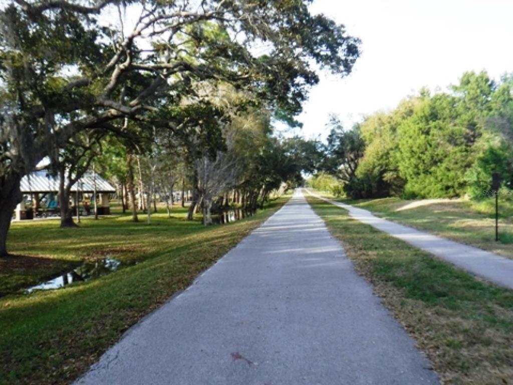 946 Virginia Street, Unit 104 Dunedin, FL 34698 - Photo 55 of 64 a park view with large trees