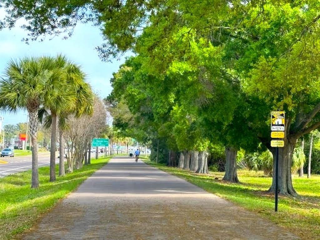 946 Virginia Street, Unit 104 Dunedin, FL 34698 - Photo 62 of 64 a view of a park with tree s