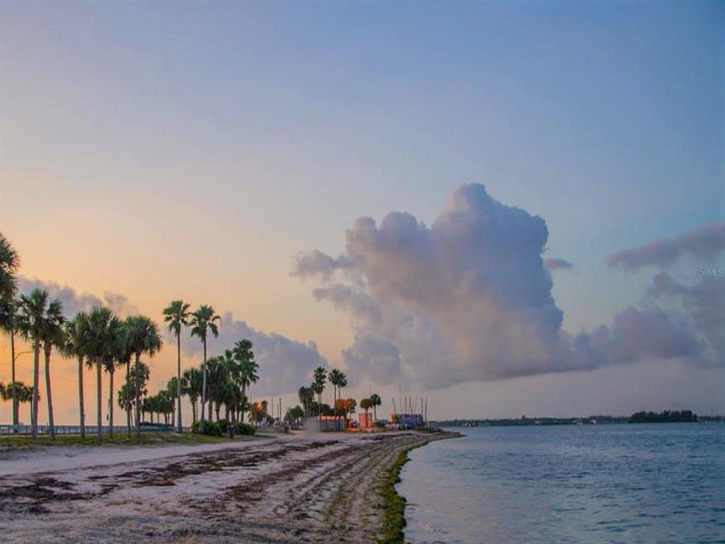 946 Virginia Street, Unit 104 Dunedin, FL 34698 - Photo 63 of 64 a view of outdoor space with city view