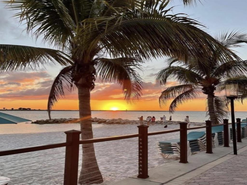 946 Virginia Street, Unit 104 Dunedin, FL 34698 - Photo 64 of 64 a view of ocean with a palm tree
