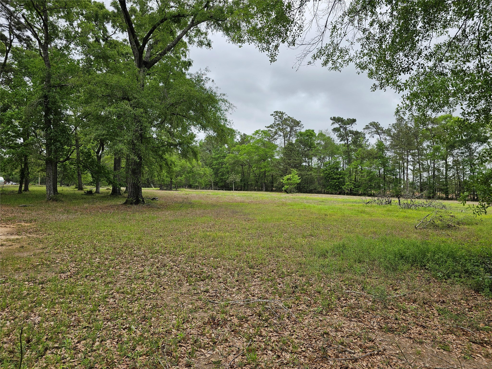 15784 Tree Monkey Road Conroe, TX 77303 - Photo 4 of 40