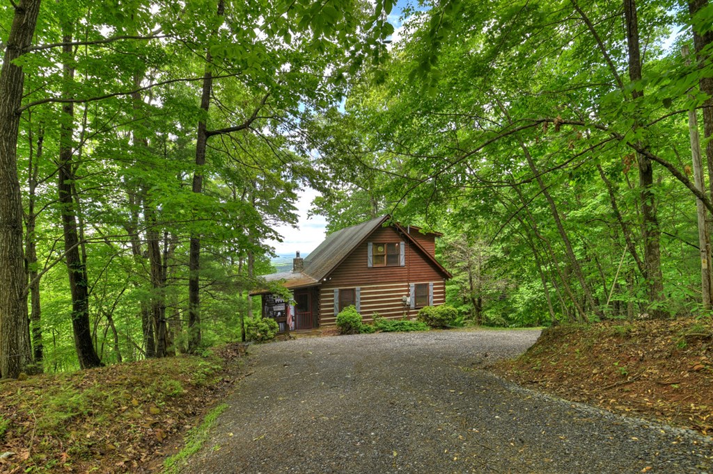181 Ridge Circle Blue Ridge, GA 30513 - Photo 55 of 59 Gallery Image 55