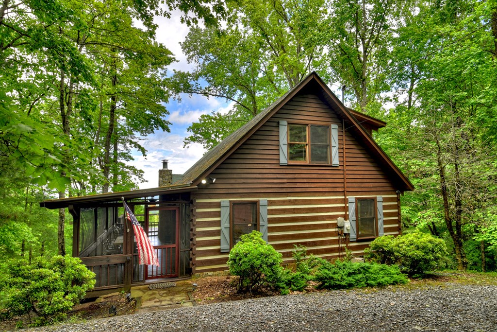 181 Ridge Circle Blue Ridge, GA 30513 - Photo 56 of 59 Gallery Image 56