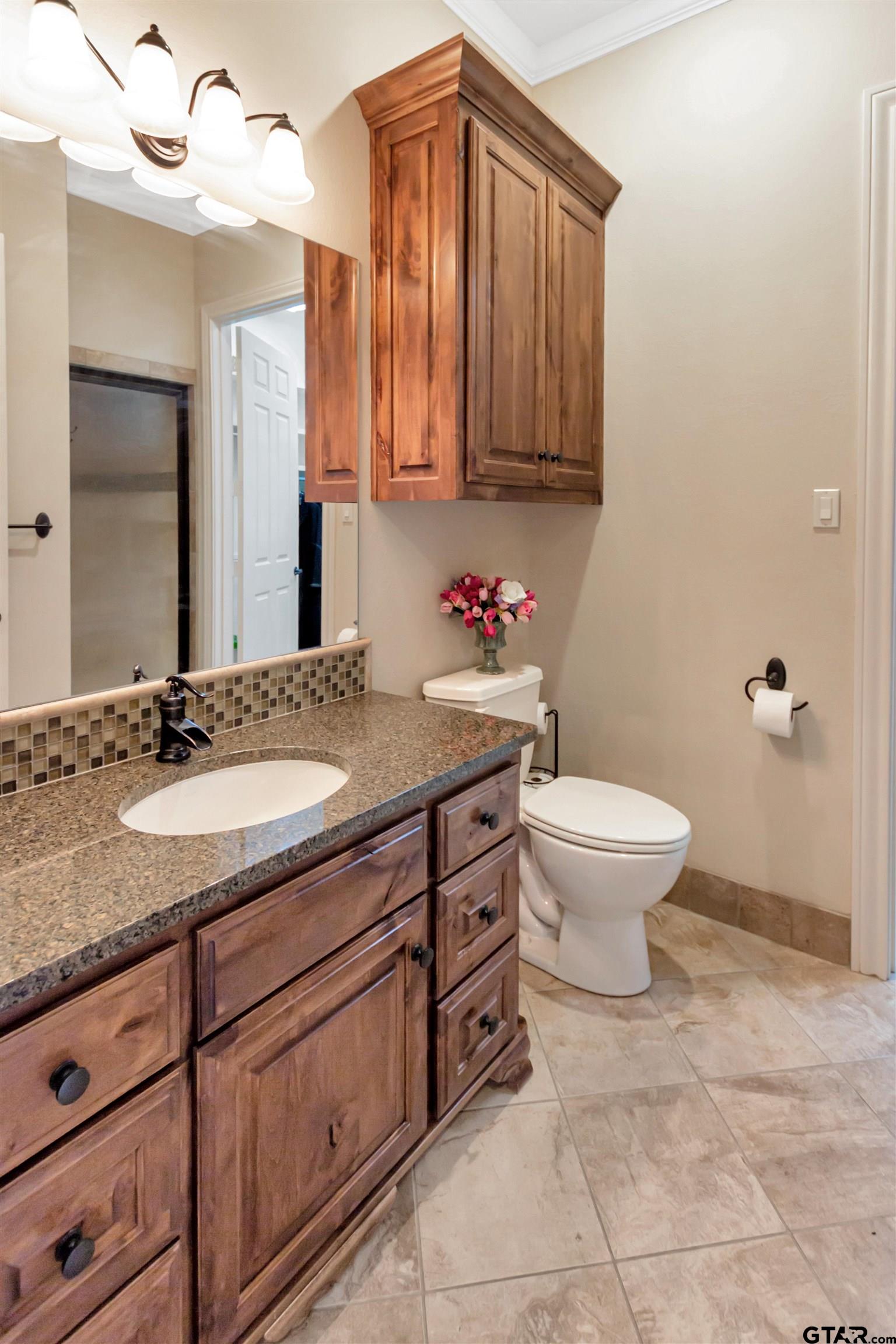 8350 Farm To Market 346 Flint, TX 75762 - Photo 27 of 47 a bathroom with a granite countertop toilet sink and mirror