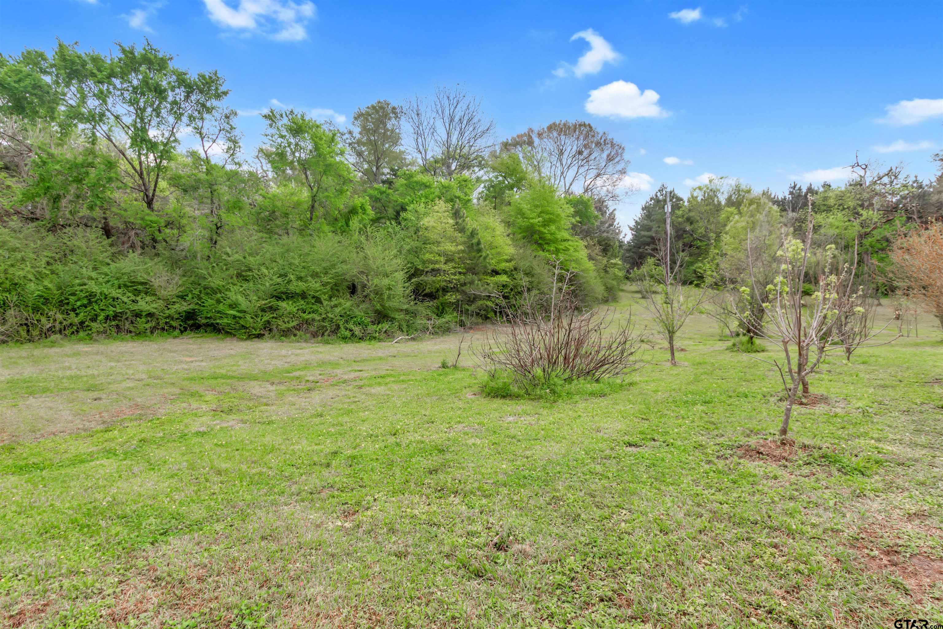 8350 Farm To Market 346 Flint, TX 75762 - Photo 46 of 47 a view of a big yard