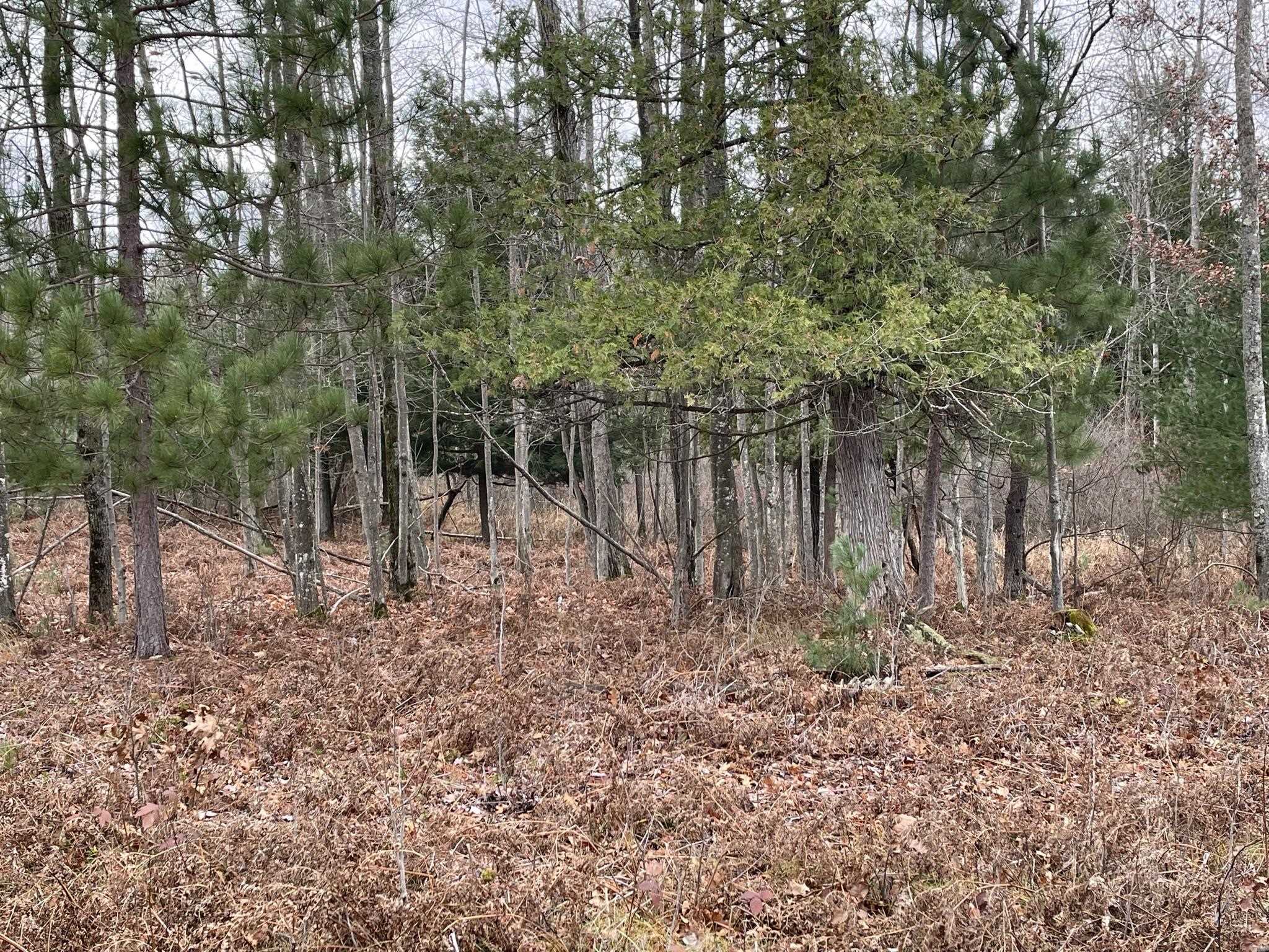 N/a West Heath Road Rose City, MI 48654 - Photo 8 of 9