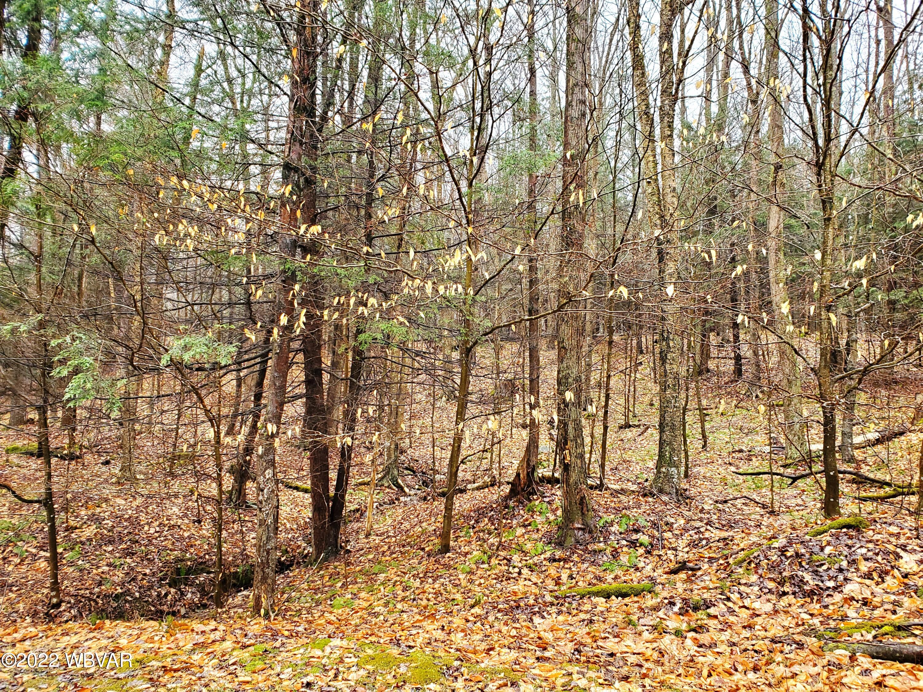 Ridge Road, Unit 11 Muncy Valley, PA 17758 - Photo 1 of 4 Gallery Image 1