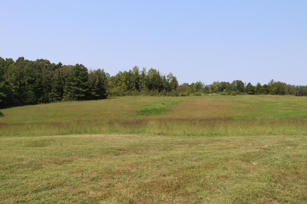 1787 New Grove Road Kenbridge, VA 23944 - Photo 20 of 29 Gallery Image 20
