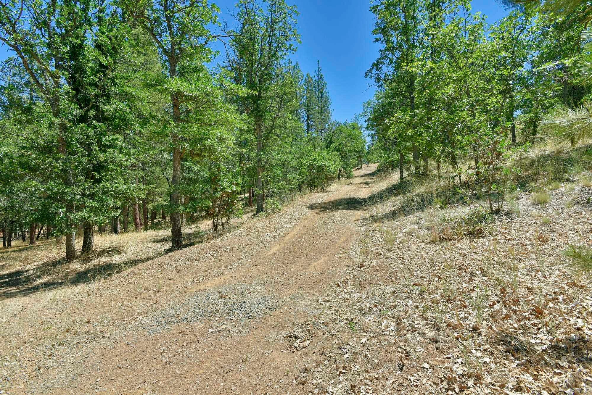5524 Scott River Road Fort Jones, CA 96032 - Photo 23 of 50 Gallery Image 23