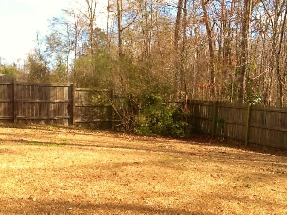237 Border Road Goose Creek, SC 29445 - Photo 17 of 30 Back yard1