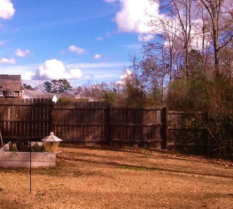 237 Border Road Goose Creek, SC 29445 - Photo 18 of 30 Backyard2