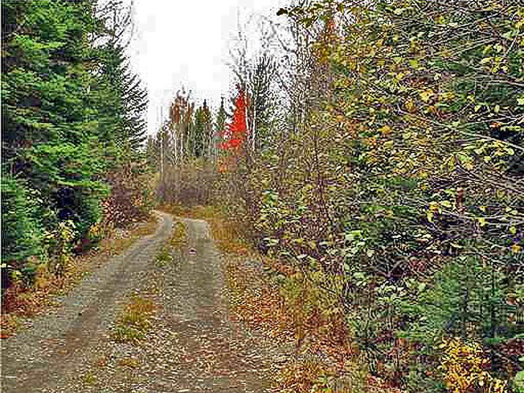 Lot 1 Mountain Rd Mount Mount Chase, ME 04765 - Photo 7 of 9 off-owlsboro-road-2