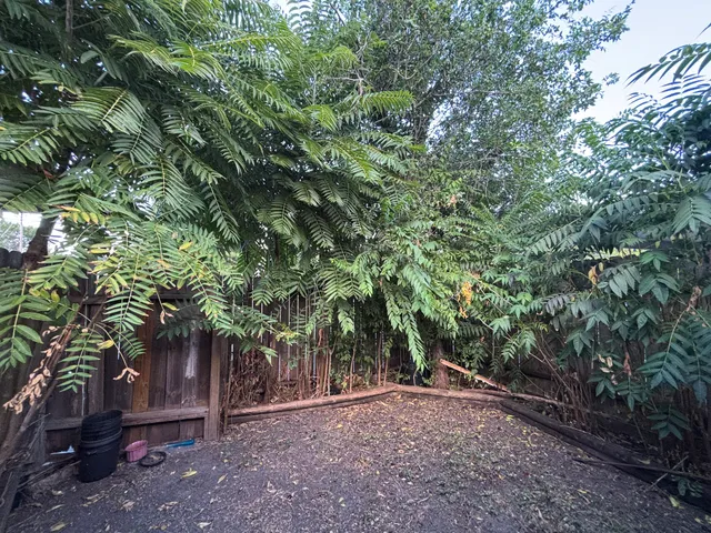 $1,490 | 12803 High Star Drive, Houston, TX 77072