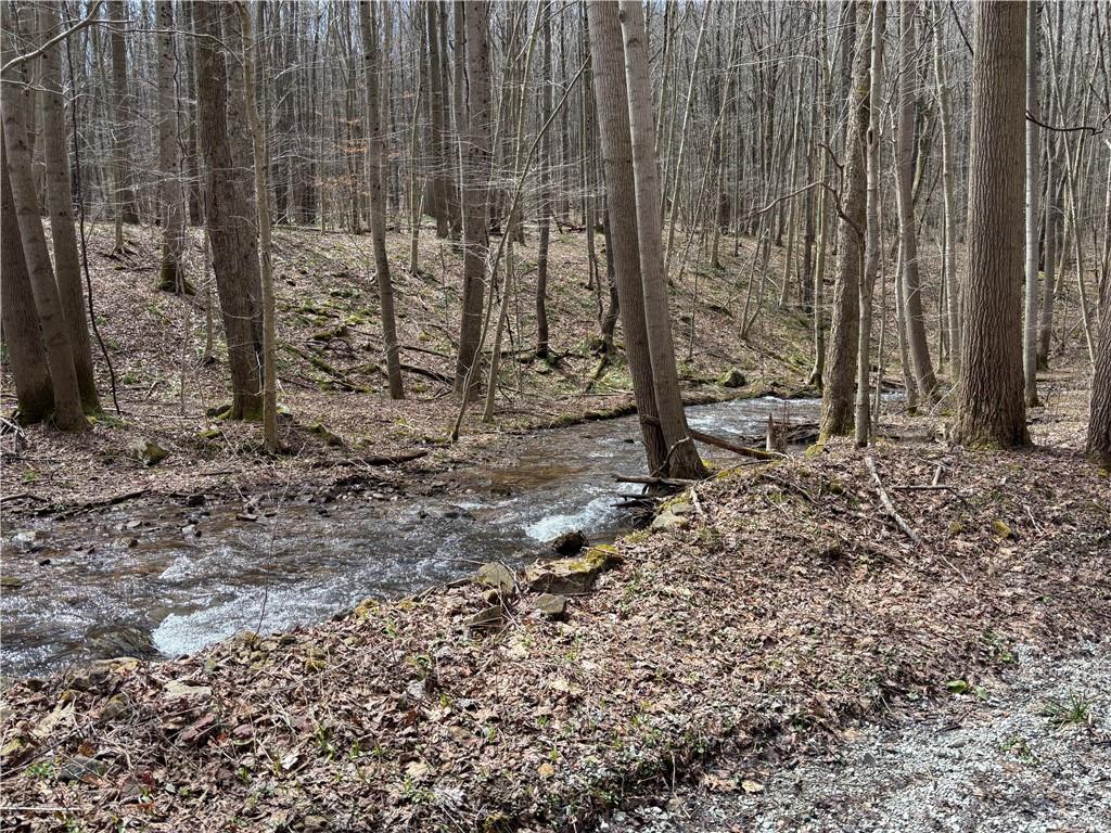 Lot 1 Neals Run Road Champion, PA 15622 - Photo 10 of 11 a view of a backyard with trees
