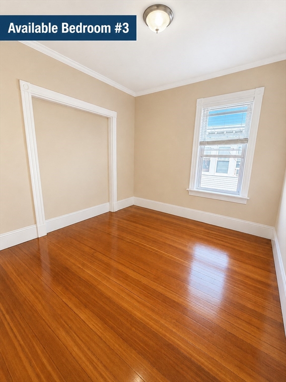 781 Columbia Road, Unit 3 Boston, MA 02125 - Photo 2 of 14