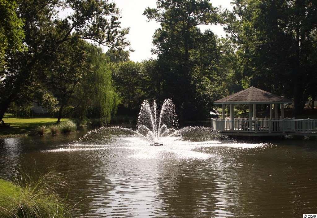 987 Old Bridge Road Myrtle Beach, SC 29572 - Photo 4 of 24 Gallery Image 4