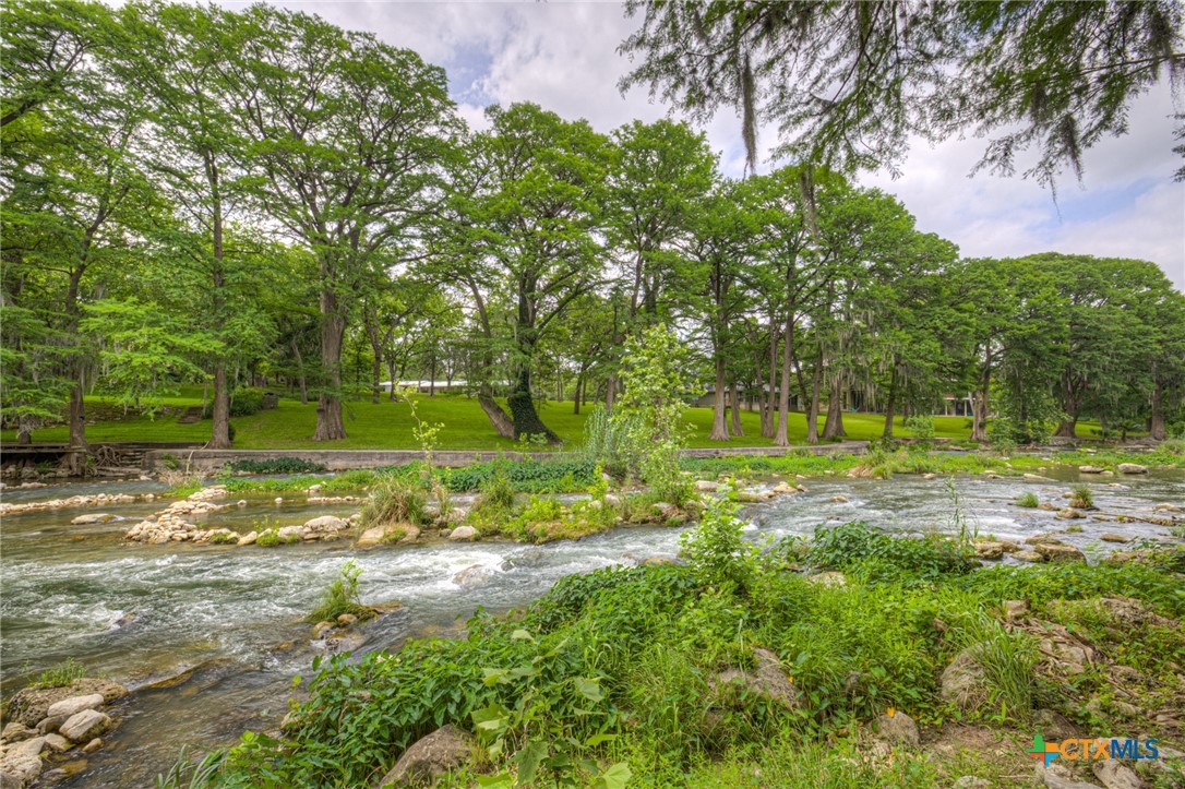 1029 Gruene Road New Braunfels, TX 78130 - Photo 39 of 48 a view of a yard with a tree
