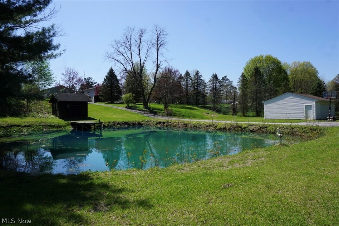 4173 South Ridge Road East Geneva, OH 44041 - Photo 30 of 42 Pond in rear yard