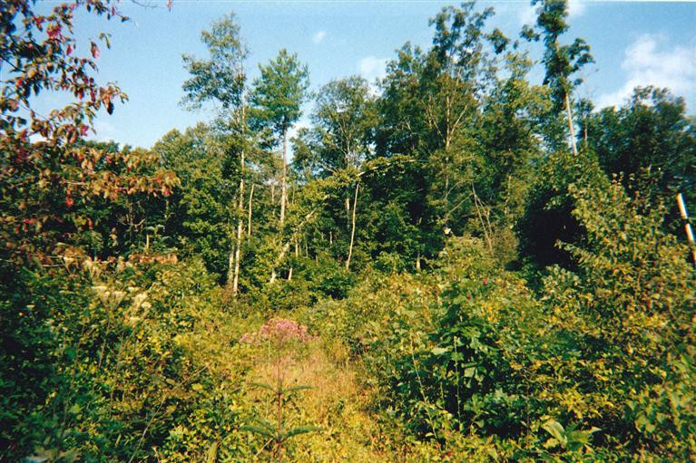 161 Tom Stamper Road Frenchburg, KY 40322 - Photo 6 of 24 Photo 6