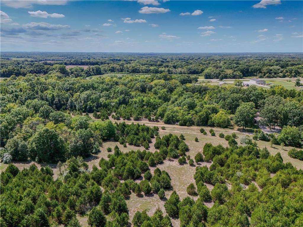 Lot 42 Northeast 51st Road Warrensburg, MO 64093 - Photo 3 of 23