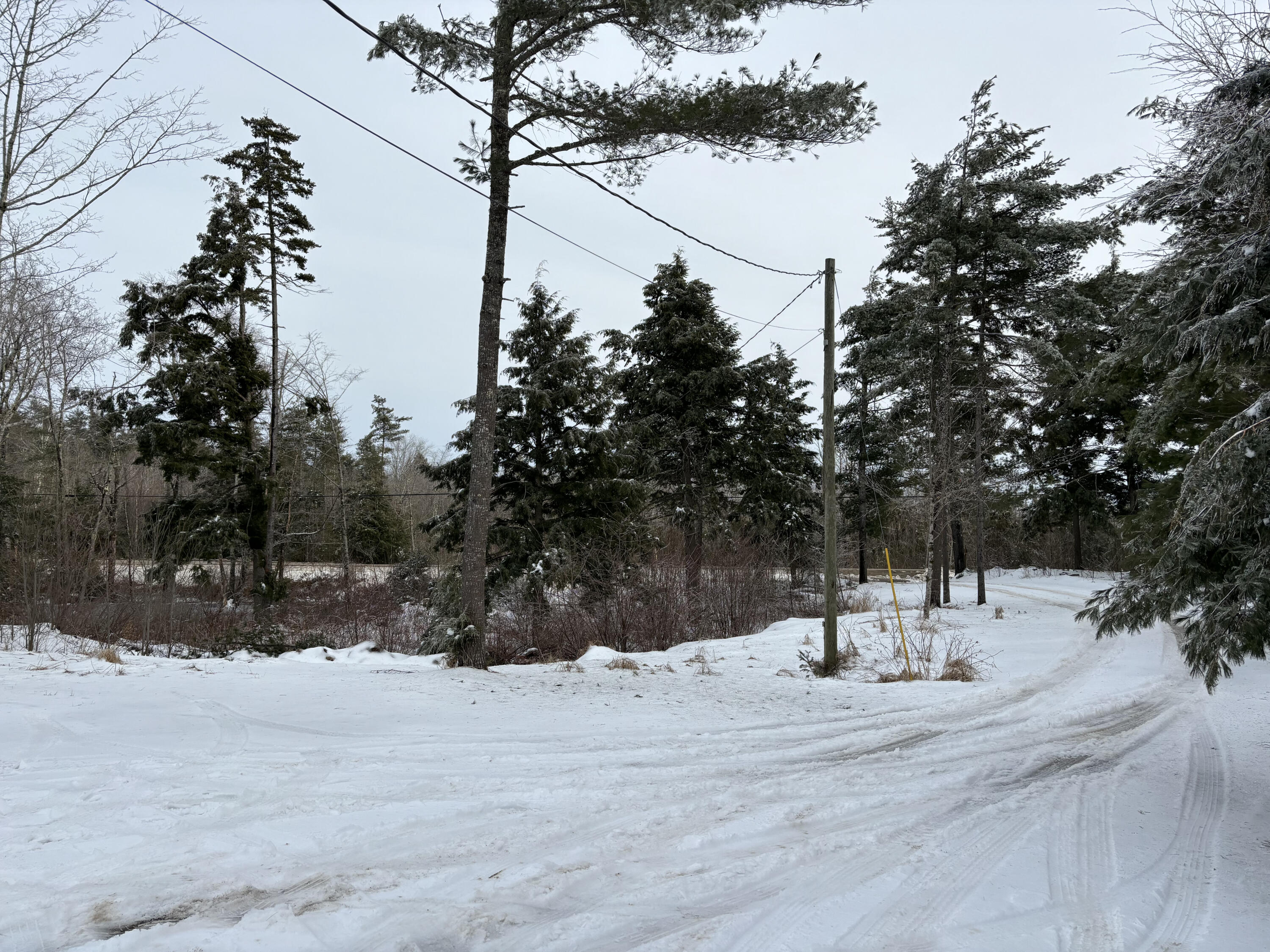 111 Razorville Road Washington, ME 04574 - Photo 13 of 19 IMG_0835