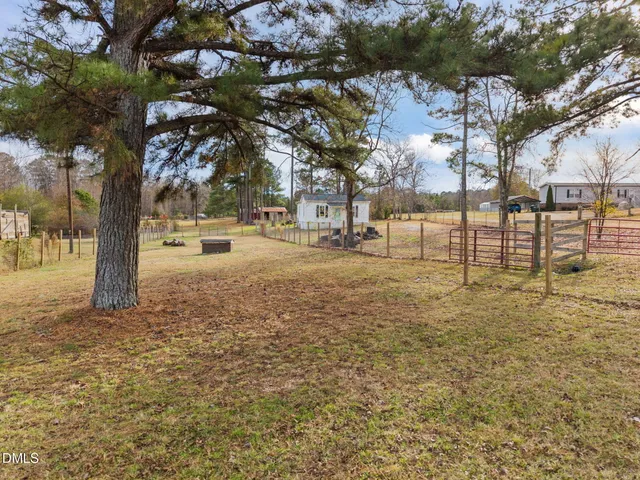 a row of yard with trees