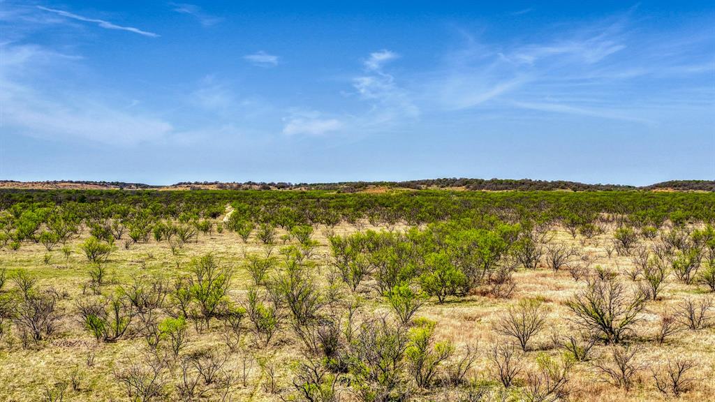 5600 Roney Road Loving, TX 76460 - Photo 22 of 27