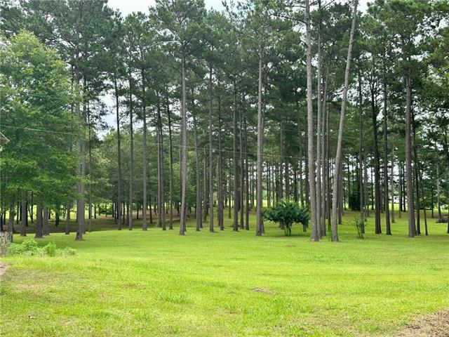 3366 Grays Creek Road Dry Prong, LA 71423 - Photo 5 of 33