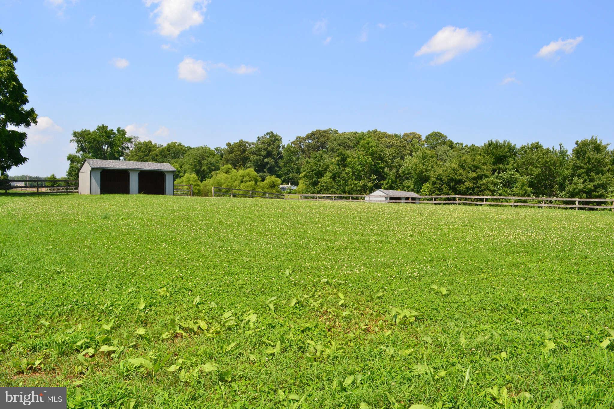 5570 Hallowing Point Road Prince Frederick, MD 20678 - Photo 14 of 29 Fenced Pasture