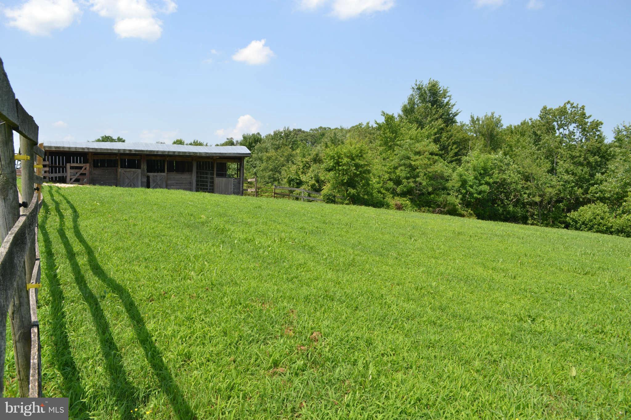 5570 Hallowing Point Road Prince Frederick, MD 20678 - Photo 8 of 29 One of many pastures